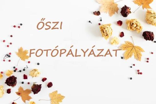 szi fotplyzat