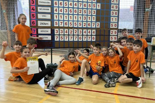 Megyei dntben az Olcsai!