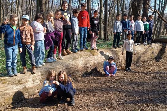 Napf�nyes t�ra a Dobog� erd�be