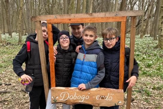 L�togat�s a Dobog�-erd�ben