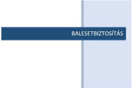 llamilag finanszrozott ltalnos gyermek- s ifjsgi balesetbiztosts