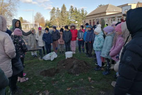 Fogadj rkbe egy gymlcsft